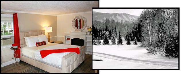 Scenic Vista Inn